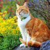 Orange Cat In Garden Diamond Painting