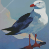 Seagull Bird Diamond Painting