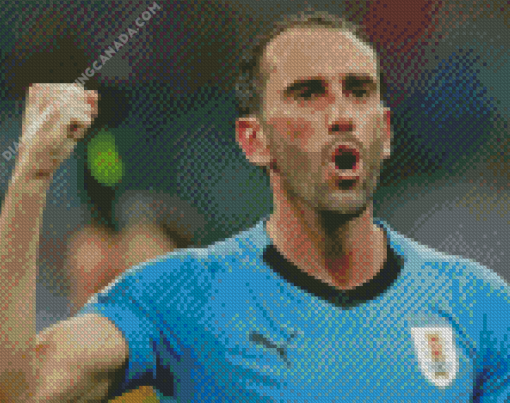 The Footballer Diego Godin Diamond Painting