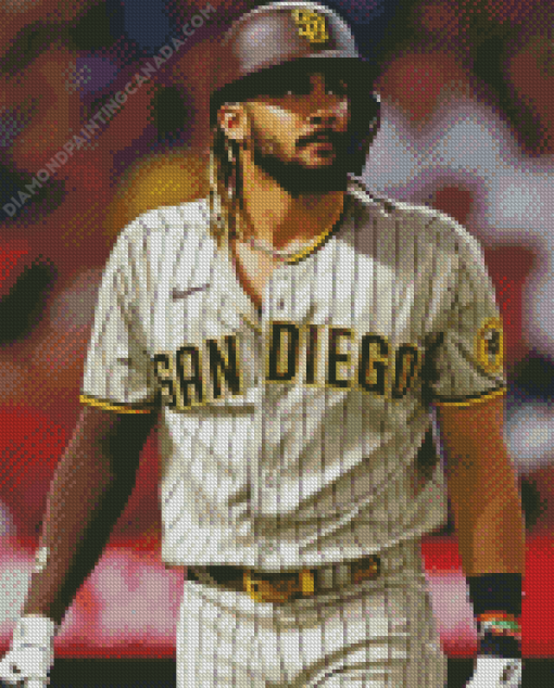 The Player Fernando Tatis Diamond Painting