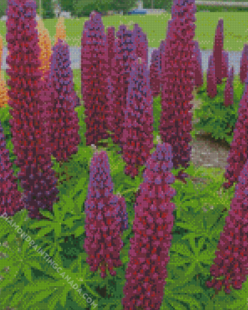 Velvet Lupine Flowers Diamond Painting