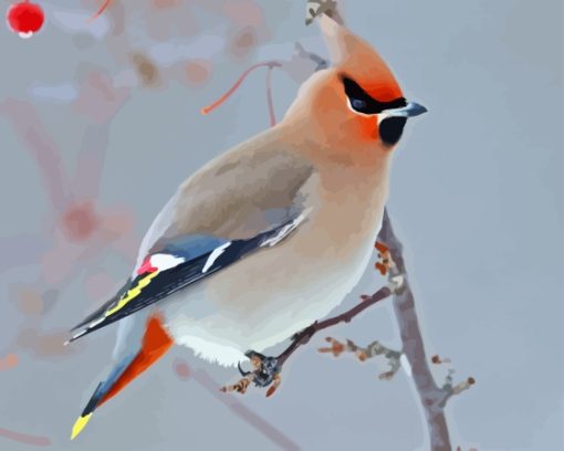 Waxwing Bird Diamond Painting