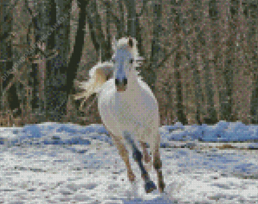 White Horse In Snowy Forest Diamond Painting