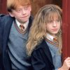 Young Hermione And Ron Diamond Painting