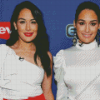 Americans Bella Twins Diamond Painting