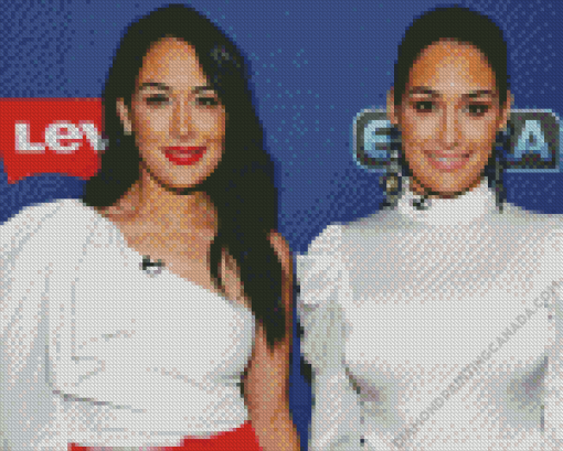 Americans Bella Twins Diamond Painting