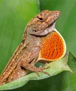 Anole Lizard Diamond Painting