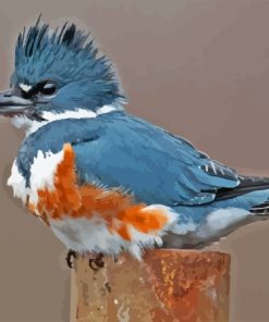 Belted Kingfisher Grey Bird Diamond Painting