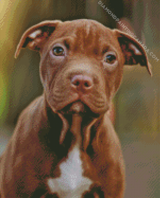 Brown Pitbull Puppy Diamond Painting