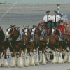 Budweiser Clydesdales Diamond Painting