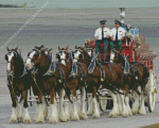 Budweiser Clydesdales Diamond Painting