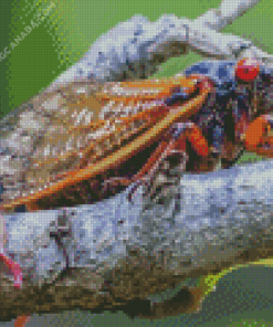 Cicadas On Tree Branch Diamond Painting