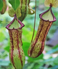 Close Up Carnivorous Plant Diamond Painting