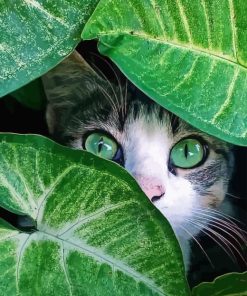 Cute Cat Behind Leaves Diamond Painting