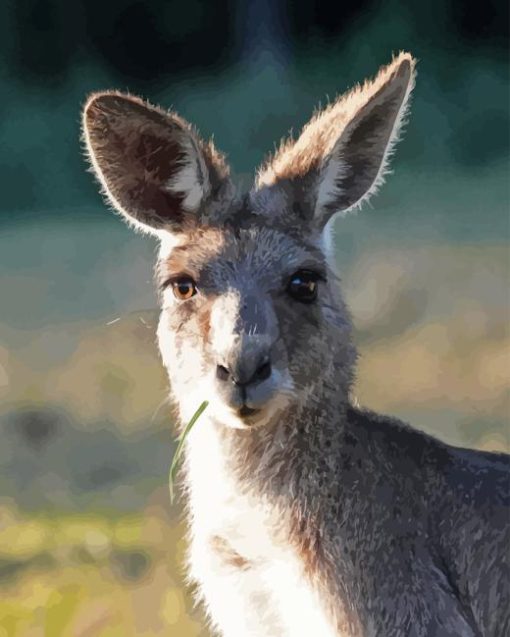 Eastern Grey Kangaroo Diamond Painting