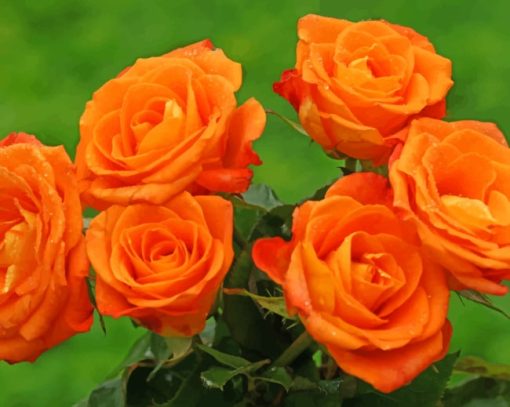 Garden Orange Roses Diamond Painting