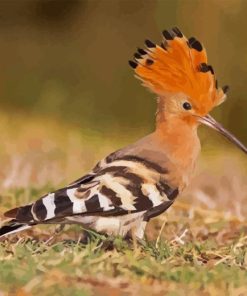 Hoopoe Bird Diamond Painting