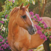 Horses And Purple Flowers Diamond Painting