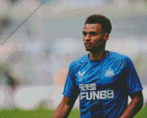 Jacob Murphy Newcastle Diamond Painting