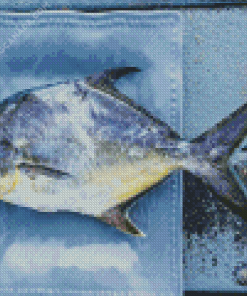 Pompano Fish Diamond Painting