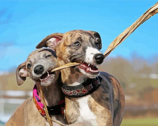 Whippet Puppies Diamond Painting