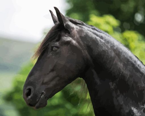 Black Friesian Diamond Painting