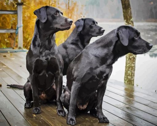 Black Labrador Retriever Dogs Diamond Painting