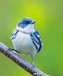 Blue Cerulean Warbler Bird Diamond Painting