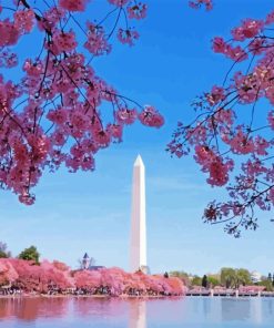 Cherry Blossoms Washington Diamond Painting