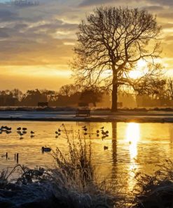 England Bushy Park Sunset Silhouette Diamond Painting