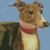 Italian Greyhound Dog Diamond Painting