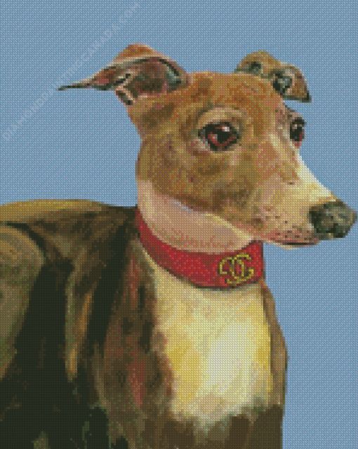 Italian Greyhound Dog Diamond Painting