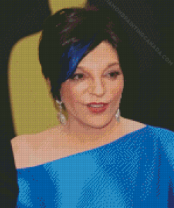 Liza Minnelli American Actress Diamond Painting