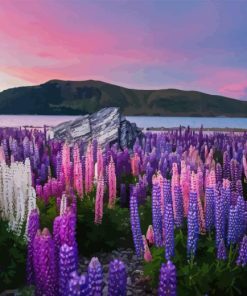 Purple Flowers Field And Lake Diamond Painting