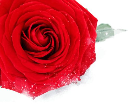 Red Flower Snow Diamond Painting