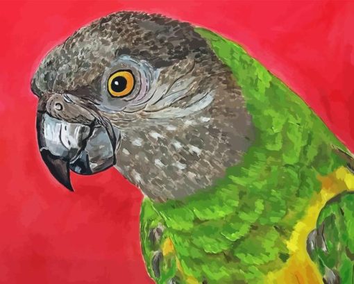 Senegal Parrot Bird Diamond Painting