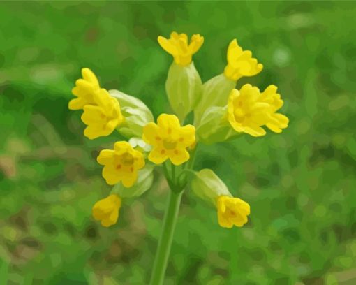 Yellow Wild Cowslip Flowers Diamond Painting