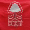 Nottingham Forest flag Diamond With Numbers