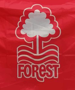 Nottingham Forest flag Diamond With Numbers