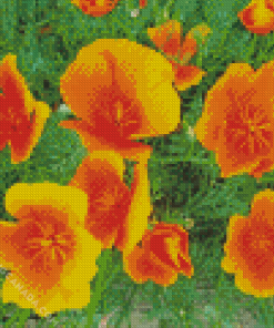 California poppies Diamond Painting