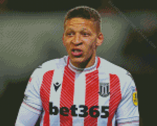 Dwight Gayle Stoke Diamond Painting