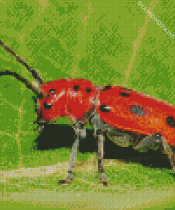 Red Beetle Diamond Painting