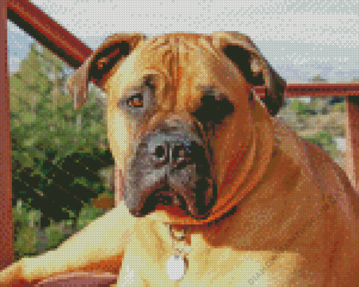 Bullmastiff Diamond Painting