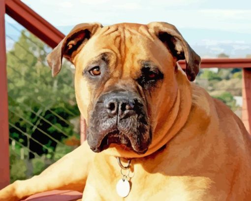 Bullmastiff Diamond Painting