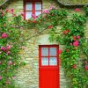 Flower with Door Diamond Painting